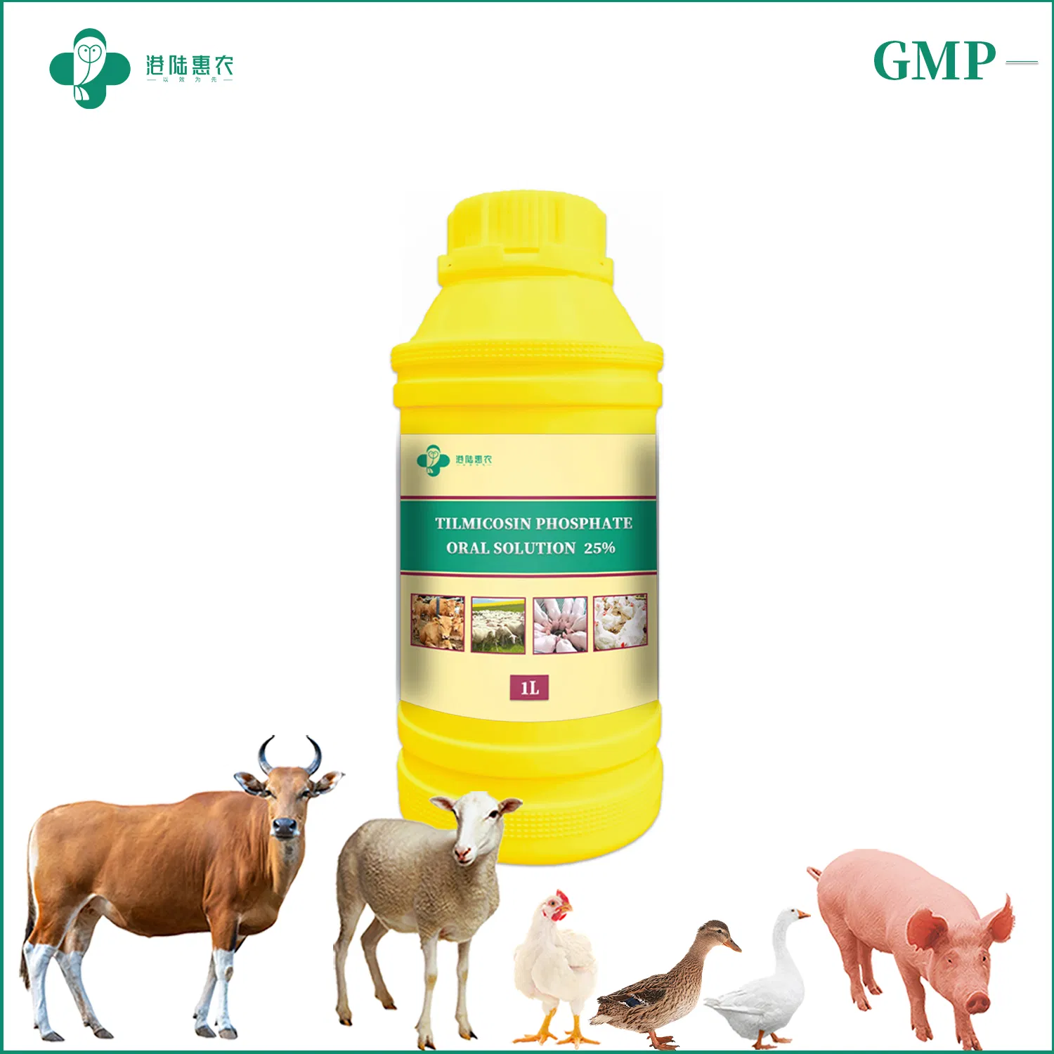 Hot Sale Antibiotic Medicine Tilmicosin Phosphate Oral Solution 10% 20% 25% Veterinary Medicine Drug for Cattle Sheep Chicken Poultry