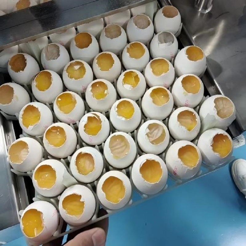 High Efficiency and Sanitary Egg - Tray Unloading for Egg - Based Vaccine