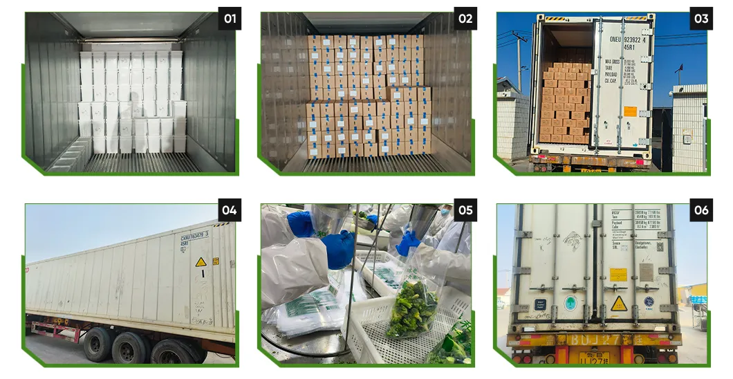 Packaging & Shipping