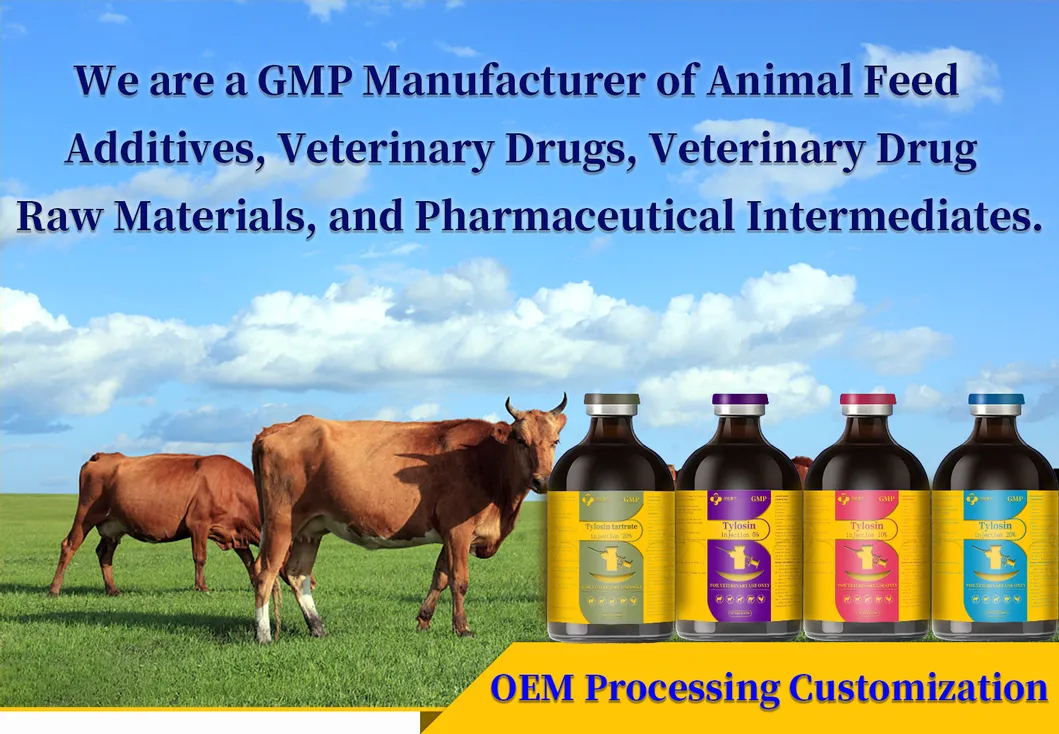 Tylosin Injection 10%