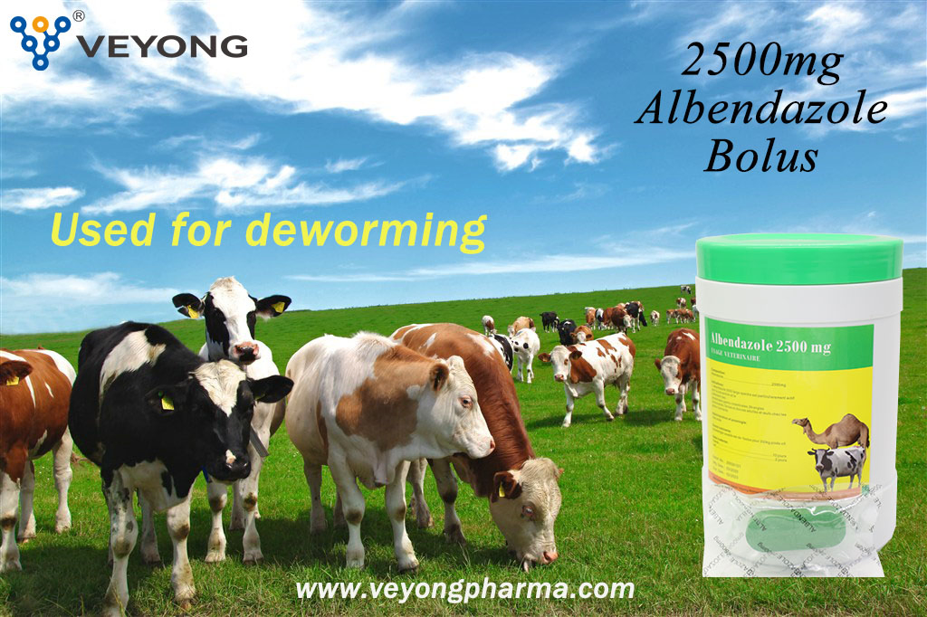 Veterinary Medicine 2.5% 10% Albendazole Oral Solution Animal Drug From GMP Manufacturer