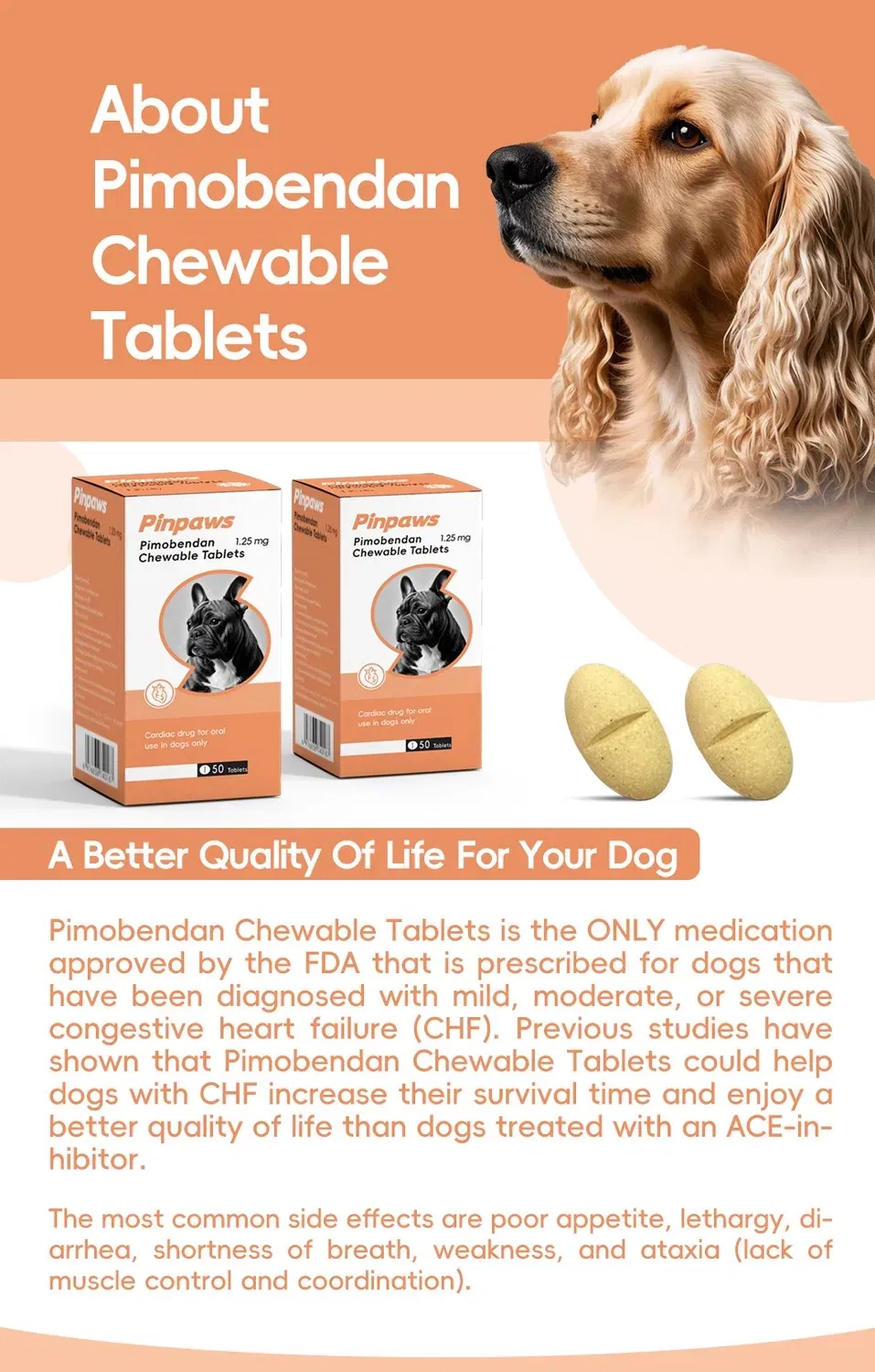 Beef Flavored Chewable Heart Tablets for Dogs Treatment of CHF Dcm Mmvd Palatable Medication