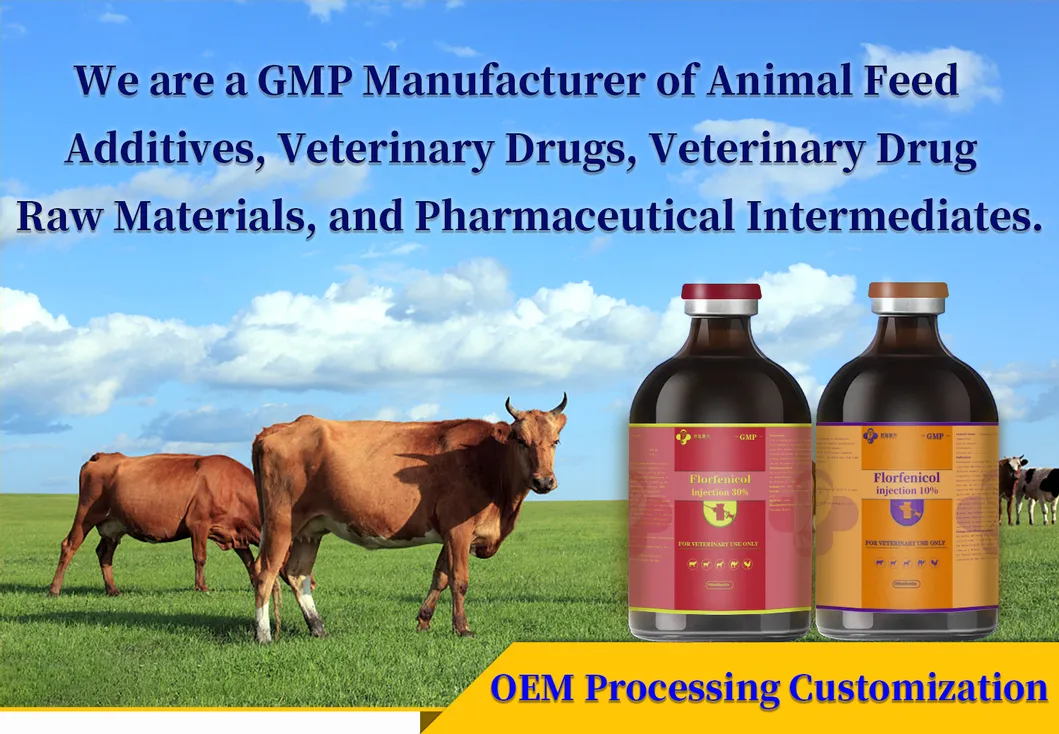 Florfenicol Liquid Injection