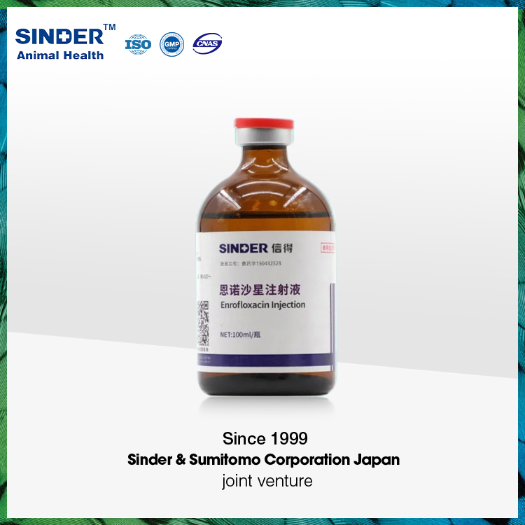 Best Veterinary Medicine Kanamycin Sulfate Injection for Animal Use