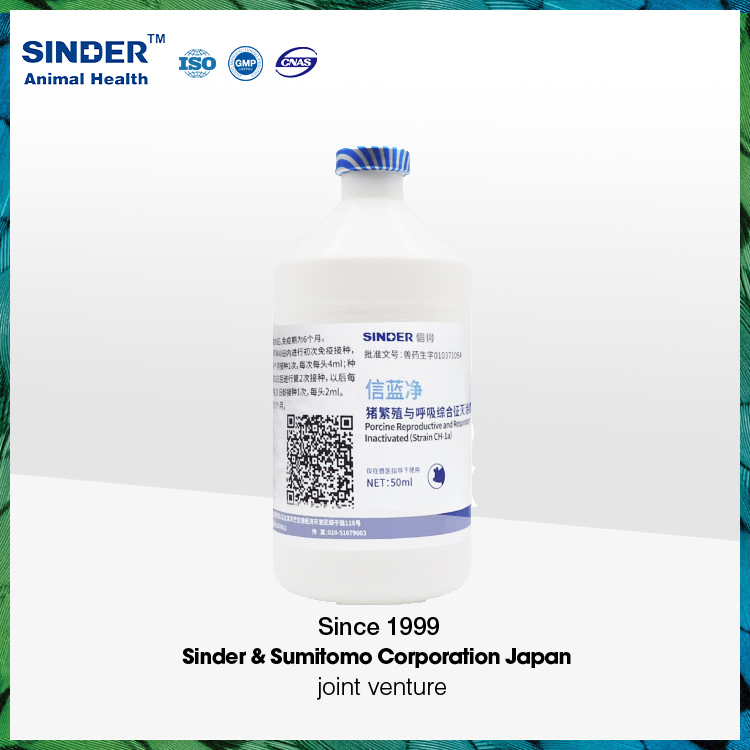 Animal Drug Veterinary Medicine GMP 10% Kanamycin Sulfate Injection