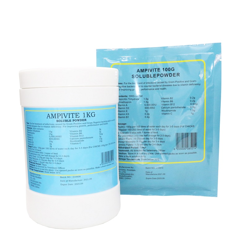 China Supplier Supply Antibiotic Drugs for Veterinary 1.5% 10% Ampicillin Trihydrate Soluble Powder Medicine for Chicken