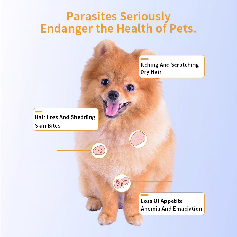 Spot-on Solutions Imidacloprid and Moxidectin Topical for Dogs Under 4kg