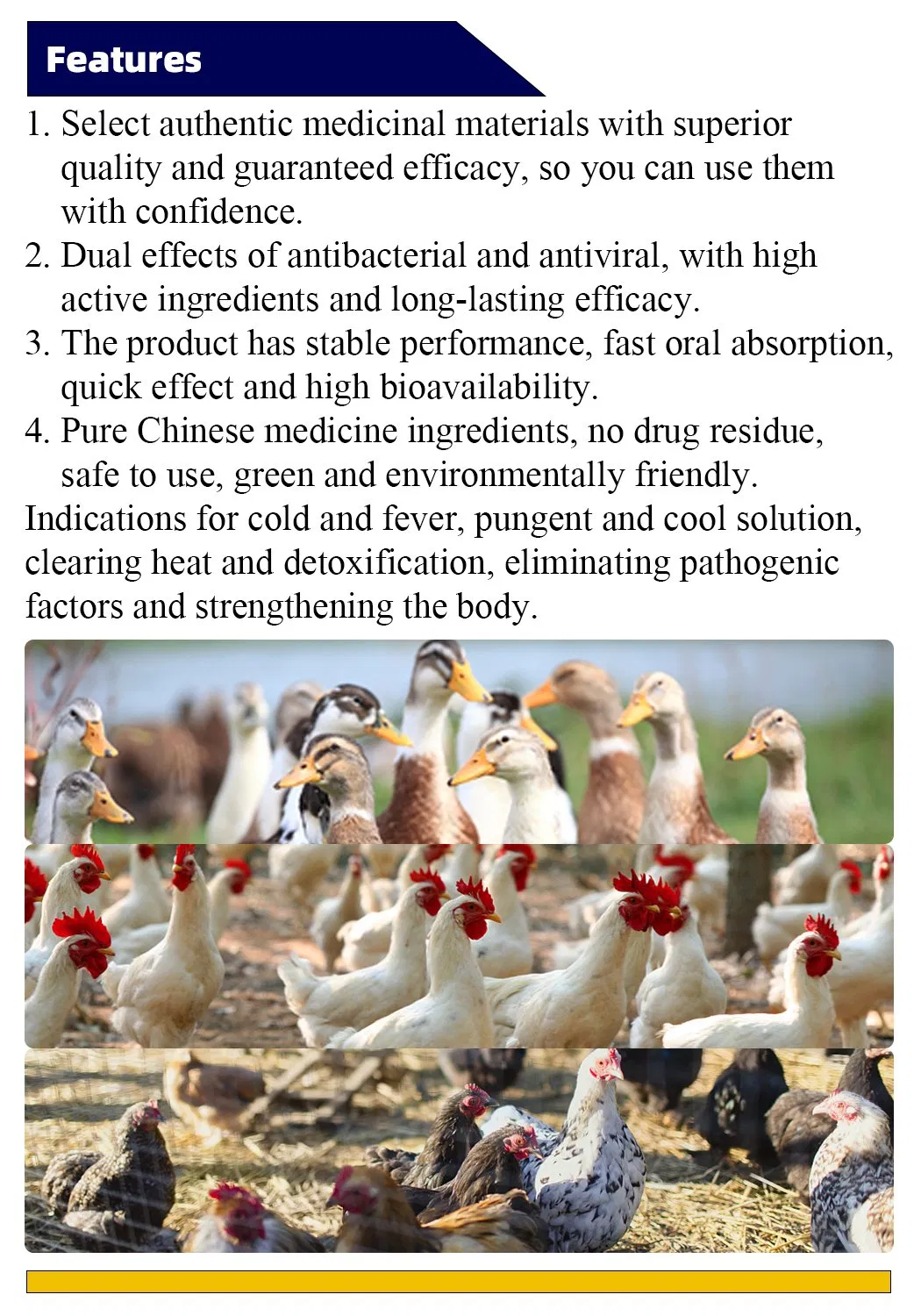 Antiviral Powder Detail 2