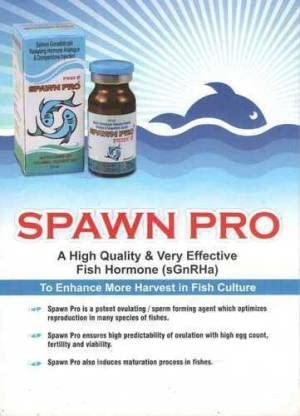 Aquaculture Salmon Veterinary Drugs: High Quality Spawning Promoting Drugs, Veterinary Drugs, Factory Supplied