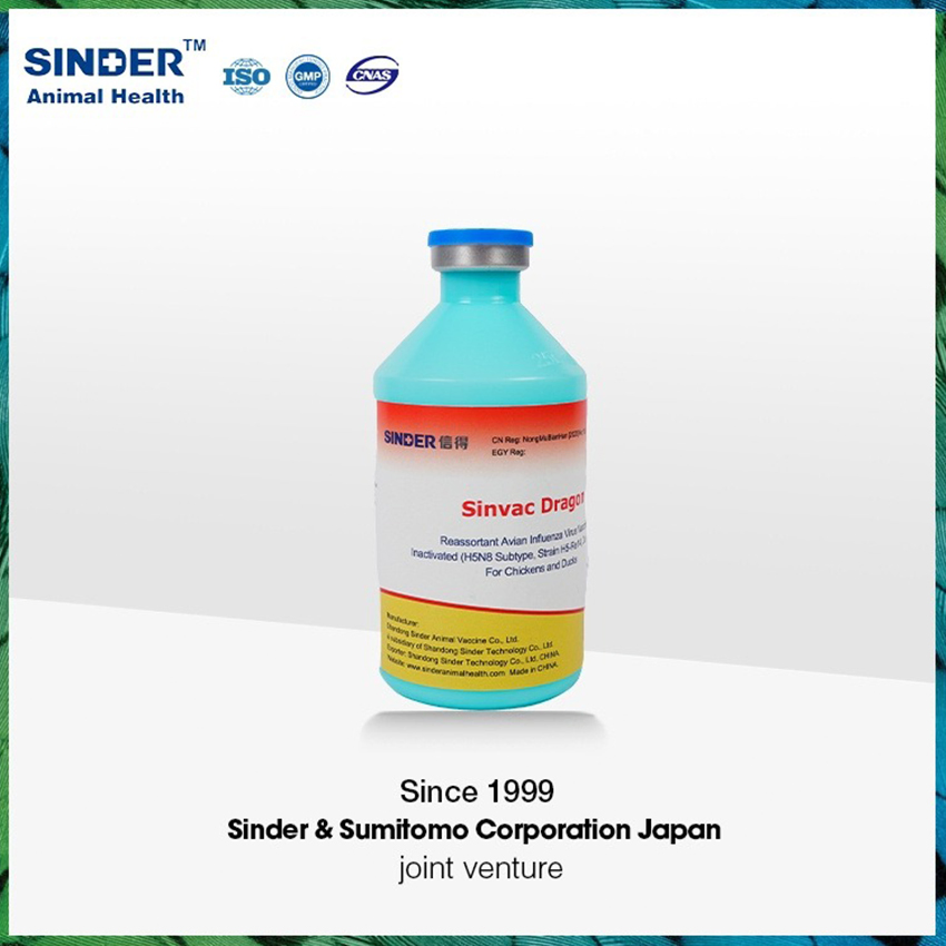 Highly Pathogenic Avian Influenza Hpai H5n8 Strain Re-14 (2.3.4.4b) Vaccine