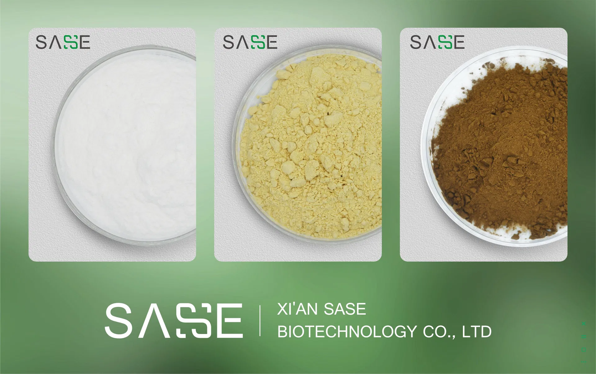 Pharmacological Description