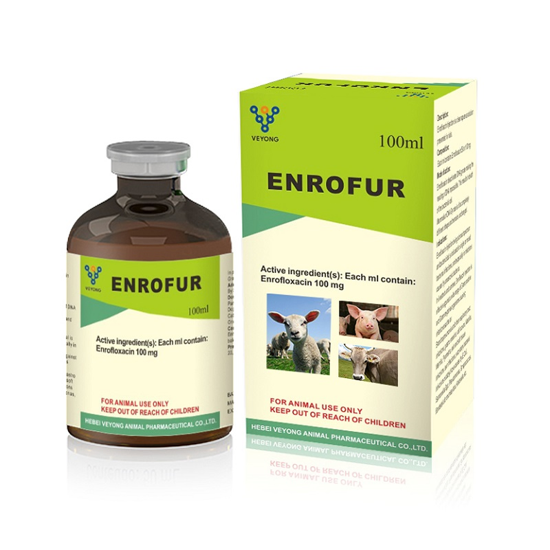 Colistin &amp; Enrofloxacin Oral Liquid Veterinary Medicine Drug for Cattle Sheep Goats Horse Poultry Use