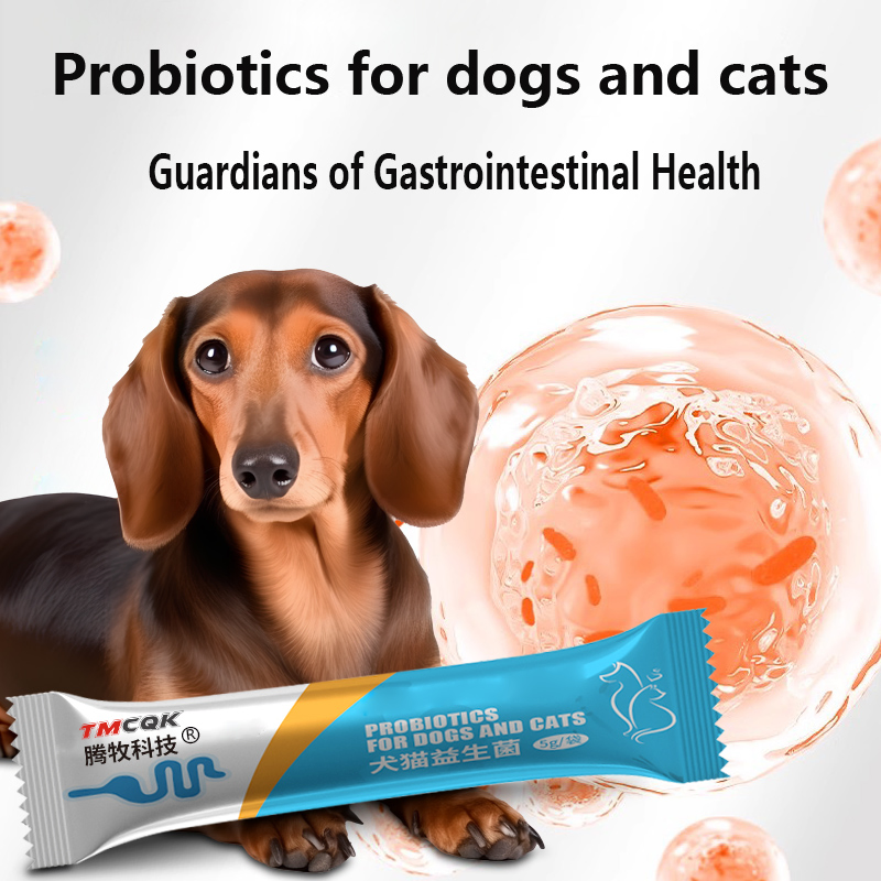 Probiotics for Cats and Dogs, Special for Regulating Gastrointestinal Function of Pets, Diarrhea, Vomiting and Soft Stools in Animals