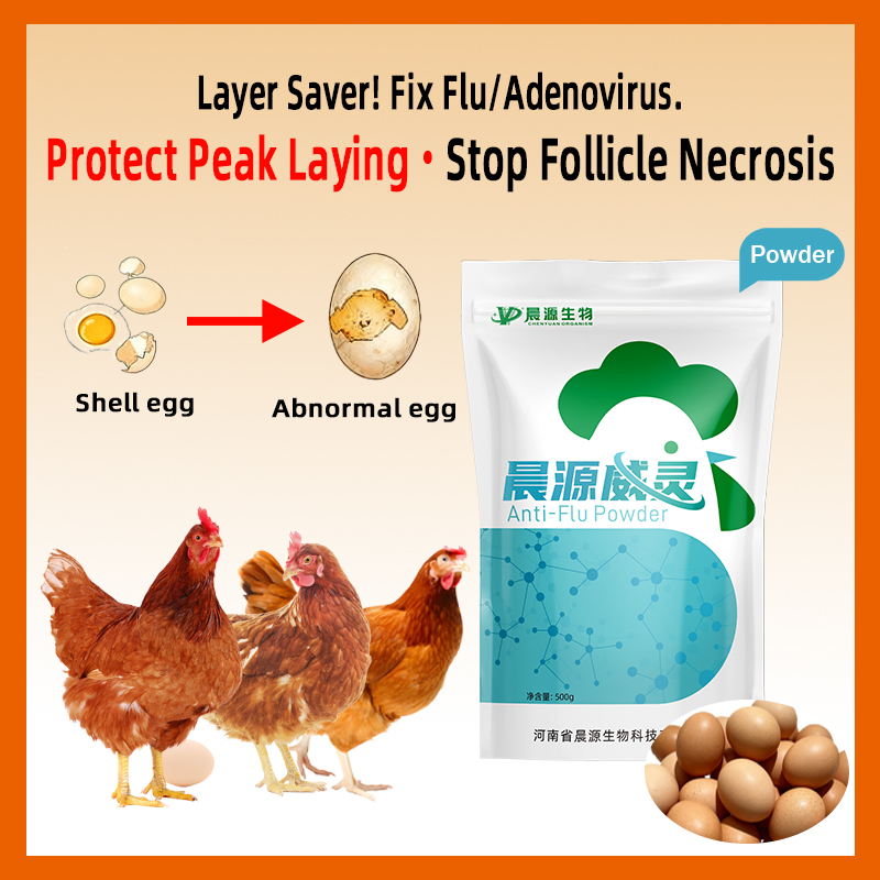 Chenyuan Weiling: Synergistic Poultry Health Supplement - Enhances Drug Efficacy &amp; Alleviates Immunosuppression