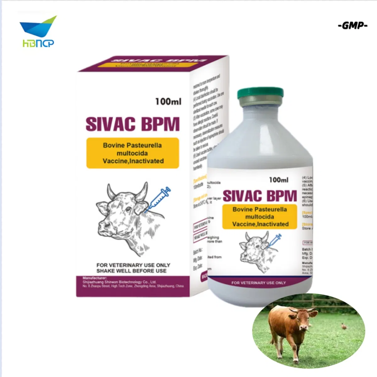 Factory Price GMP Manufacturer Veterinary OEM Bovine Pasteurella Multocida Vaccine Inactivated for Cattle