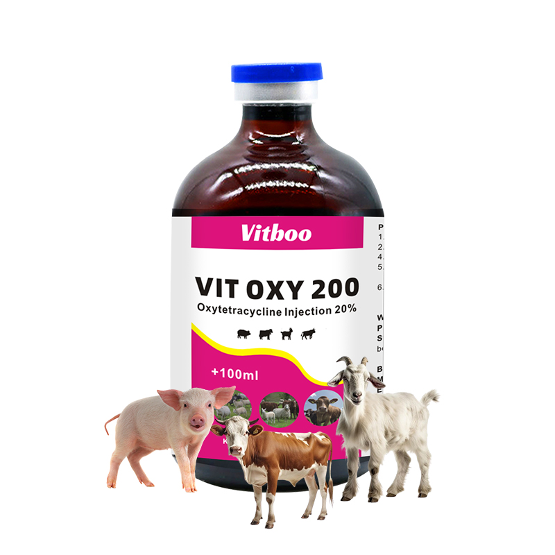 Flunixin Meglumine Injection Anti-Inflammatory Drug for Cattle Pig Medicine