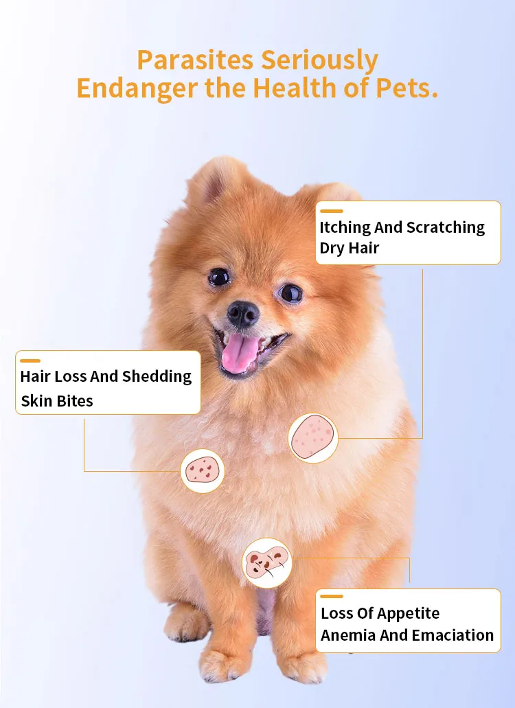 Dog Wormer Solution 4