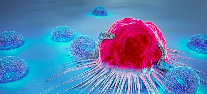 Clinical Application