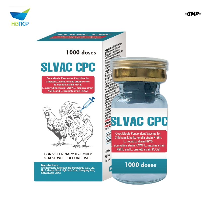 High Quality GMP Factory OEM Newcastle Disease Infectious Bronchitis Avian Influenza H9 Subtype and Infectious Bursal Disease Vaccine Inactivated Chicken Vacci