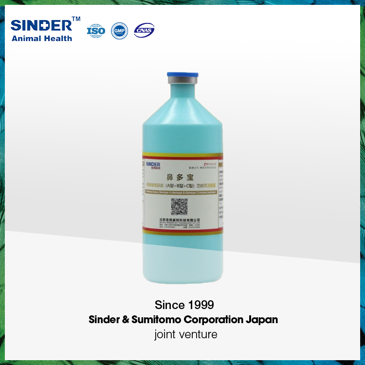 Bird Vaccine AVI H5n6 Strain H5-Re13+H5n8 H5-Re14 for Poultry Use 500ml/Bottle