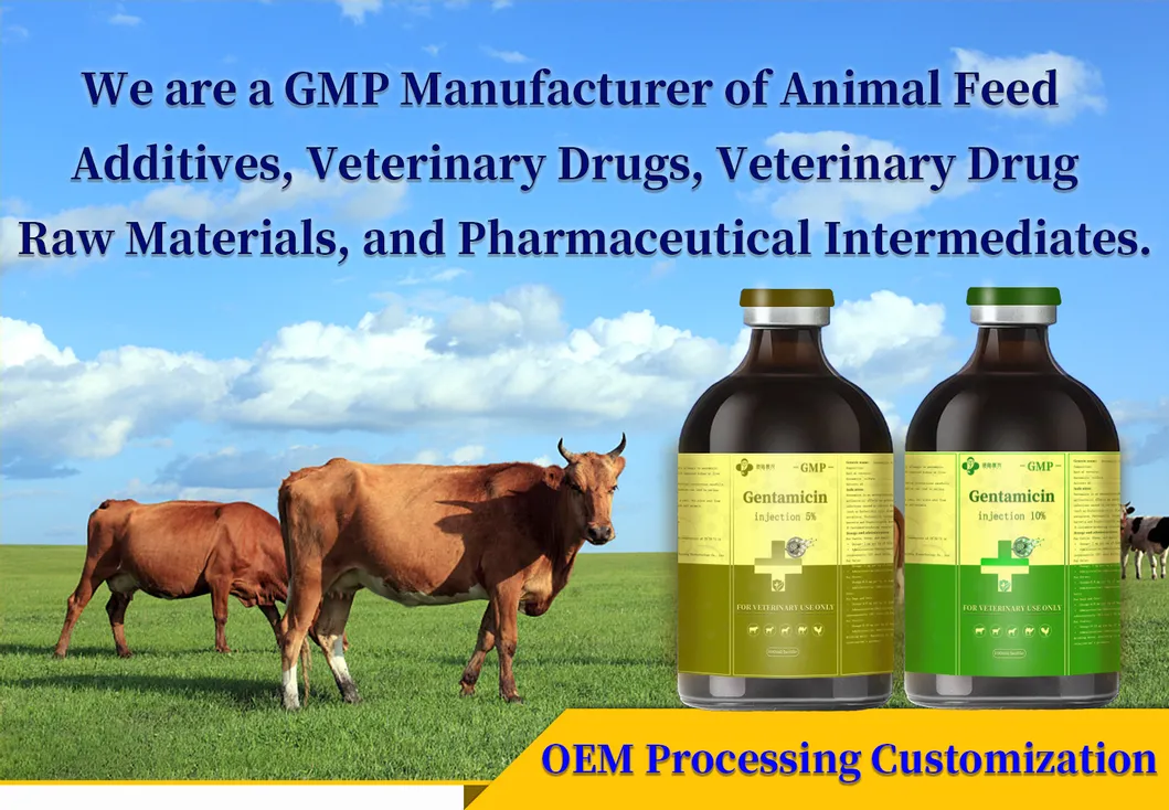 Gentamicin Injection Product Image