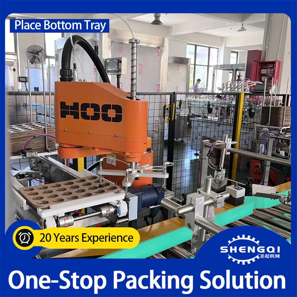 Vial Vaccine Inspection Production Line Weighing, Unpacking, Packing and Palletizing