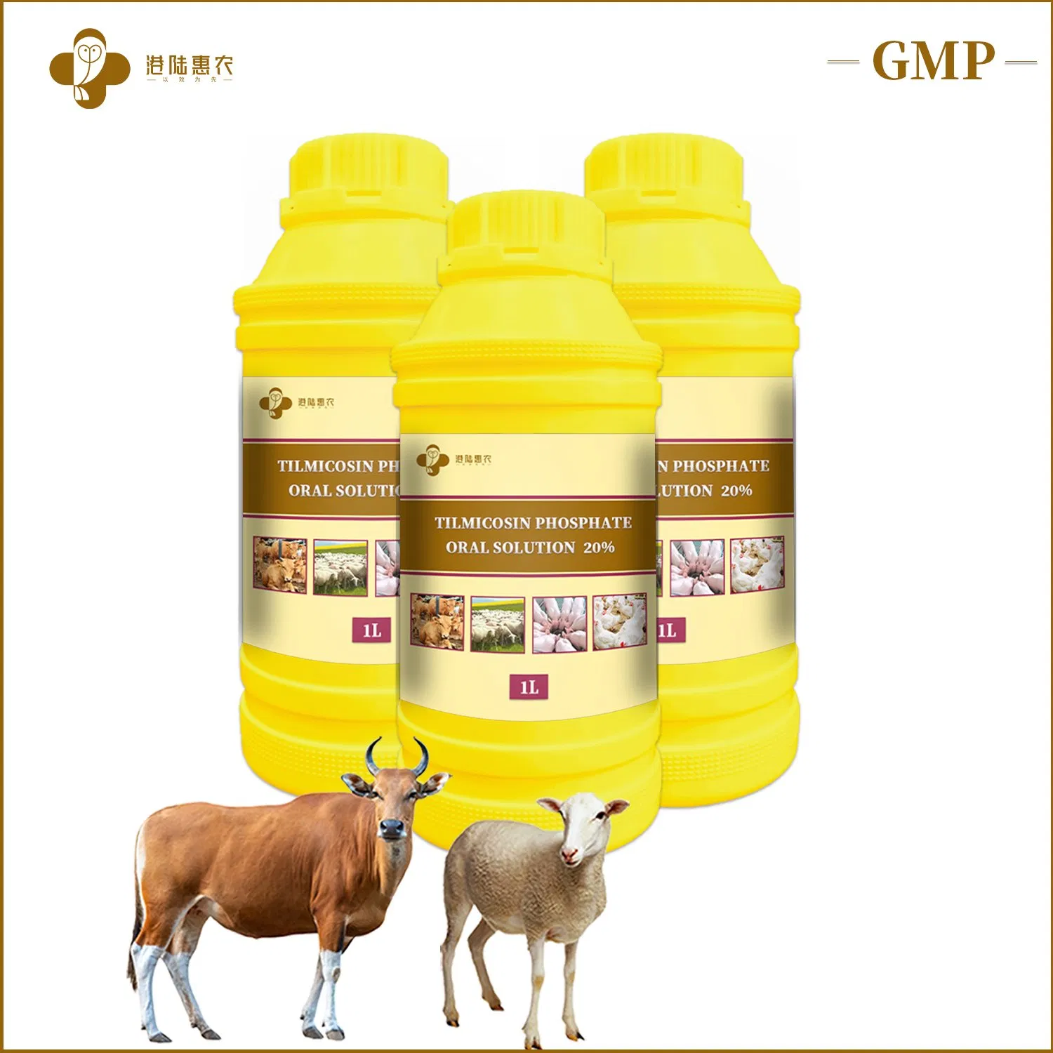 Hot Sale Antibiotic Medicine Tilmicosin Phosphate Oral Solution 10% 20% 25% Veterinary Medicine Drug for Cattle Sheep Chicken Poultry