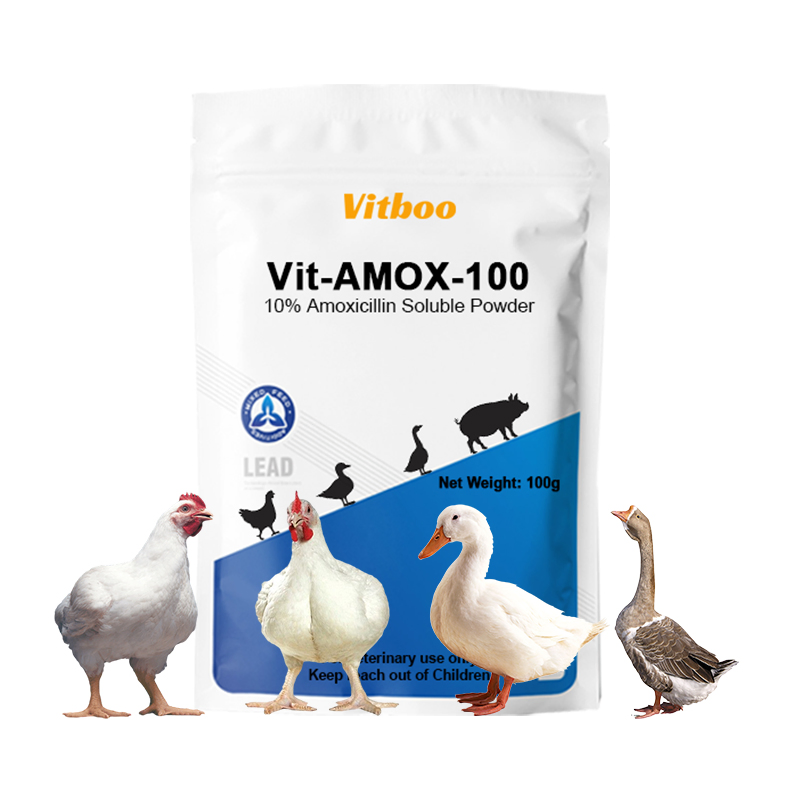 Factory Supply Veterinary Drug Poultry Medicine Poultry Antiviral Powder