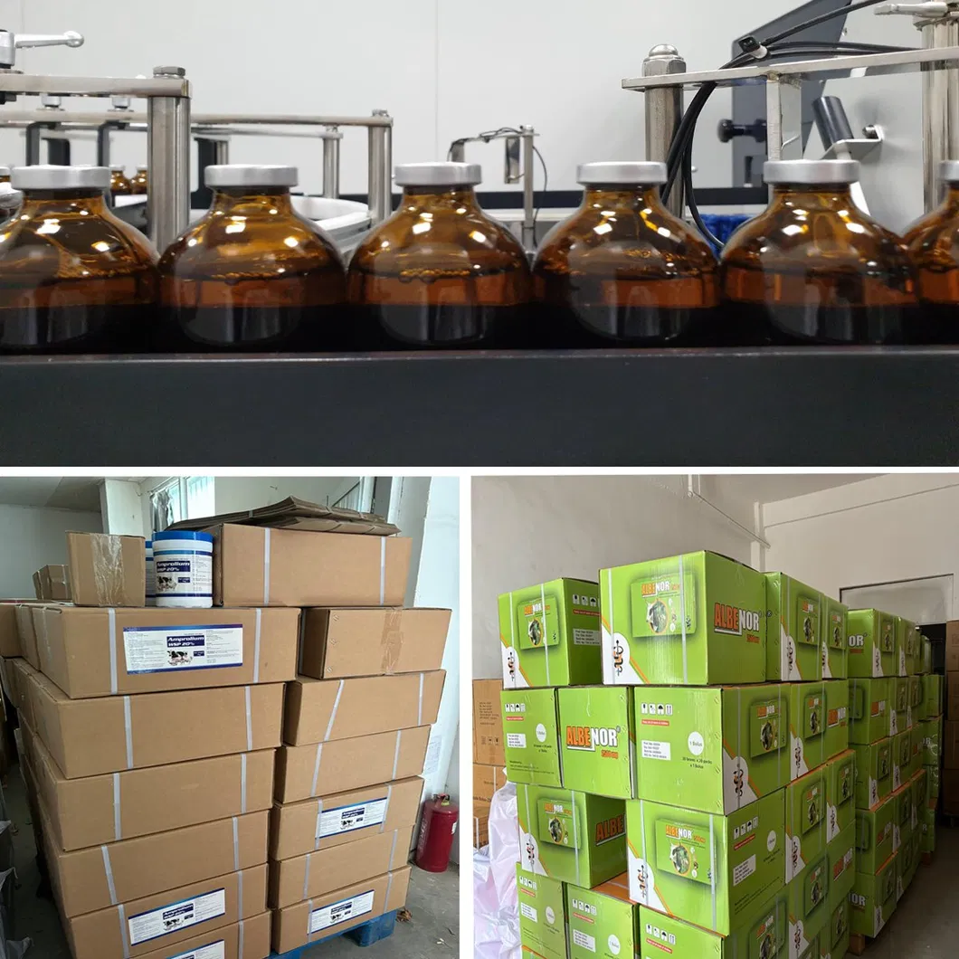 Professional Warehouse