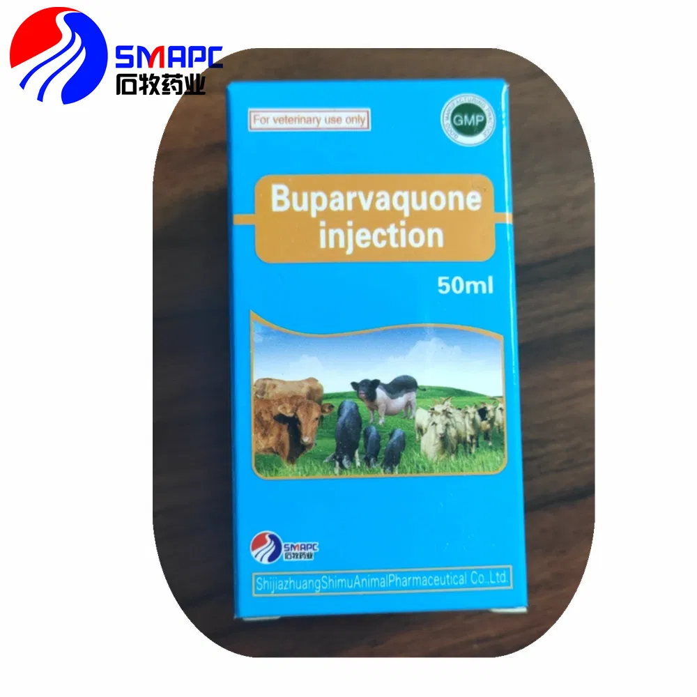 Buparvaquone Injection 4