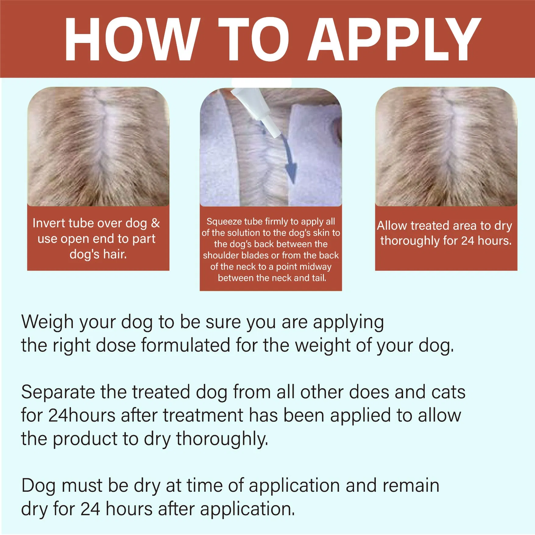 Flea and Tick Prevention Supplement for Large Dog, Pet Repelling Tick Drug, Fluralaner Deworming Drop Treatment