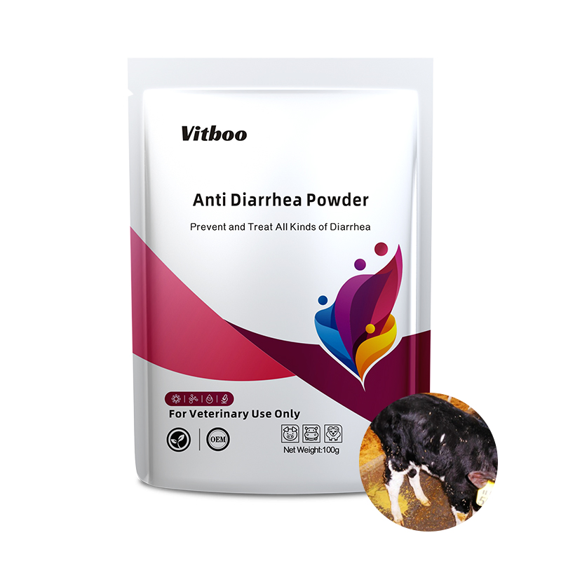 Veterinary Drug Animal Medicine Poultry Antiviral Powder for Broiler Layer Hen