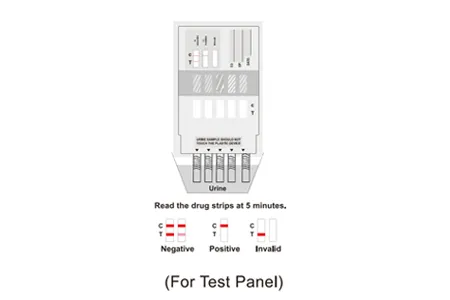 Panel Testing