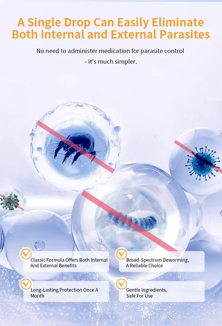 Dog Wormer Solution 5