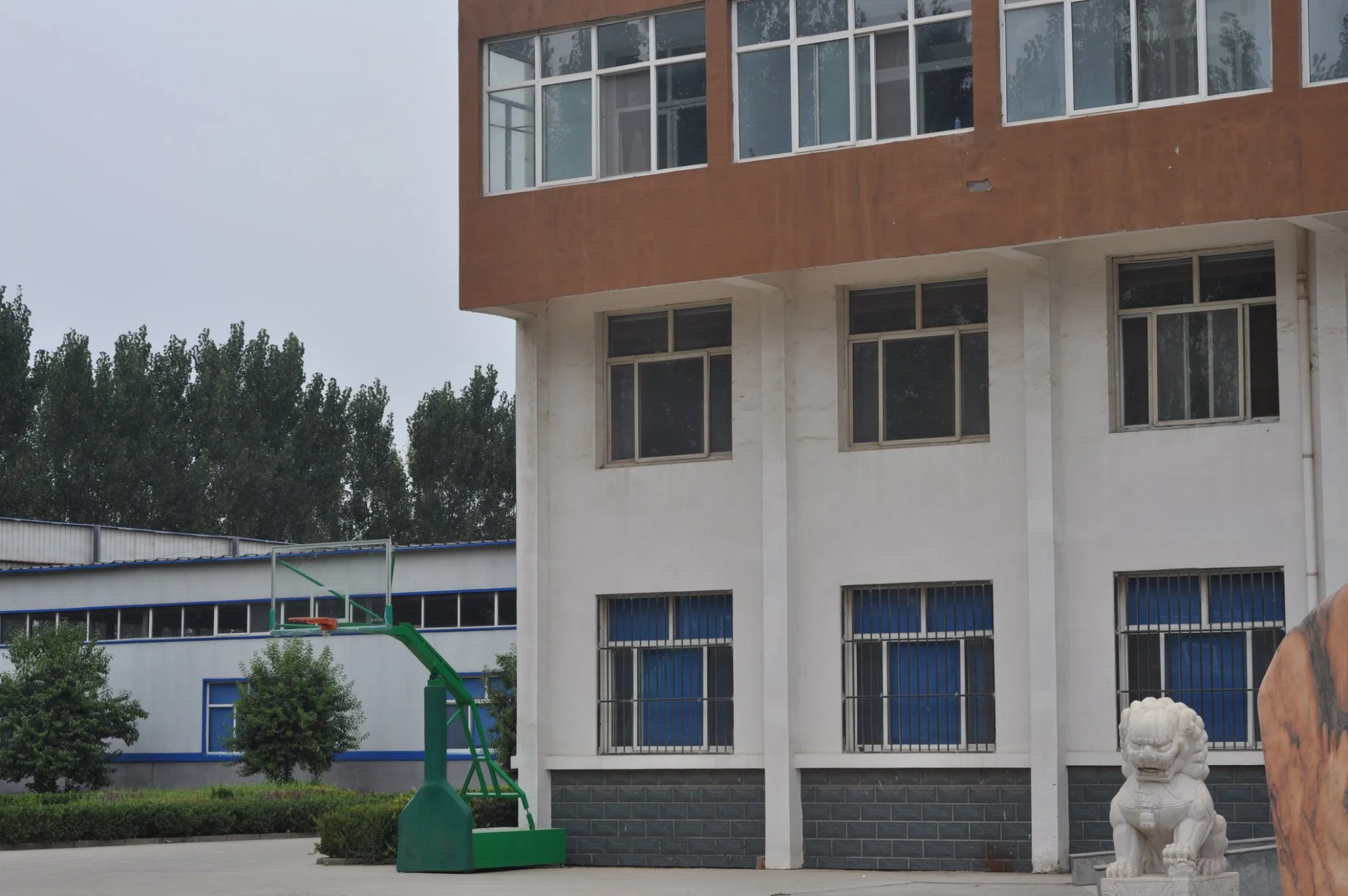 Veterinary Drug Good Effect of Fosfomycin 20% Oral Solution1