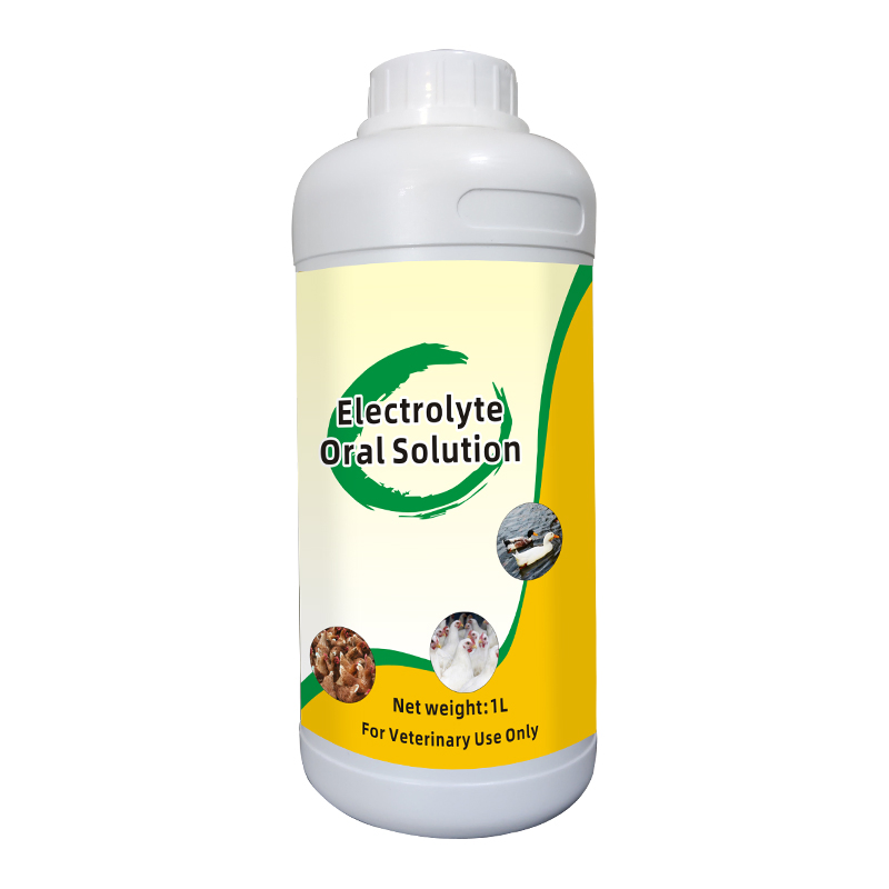 Enzyme Oral Solution Probiltics Enzyme Reduce Morbidity and Mortality Reduce Total Drug Costs