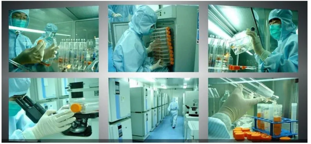 Cell Therapy Turnkey Project