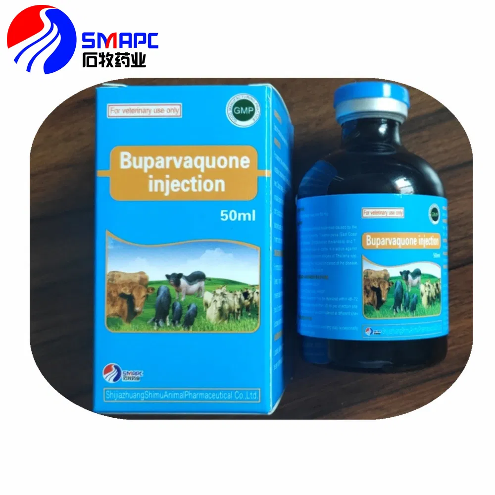 Veterinary Drugs of 5% Buparvaquone Injection (50ml/100ml)