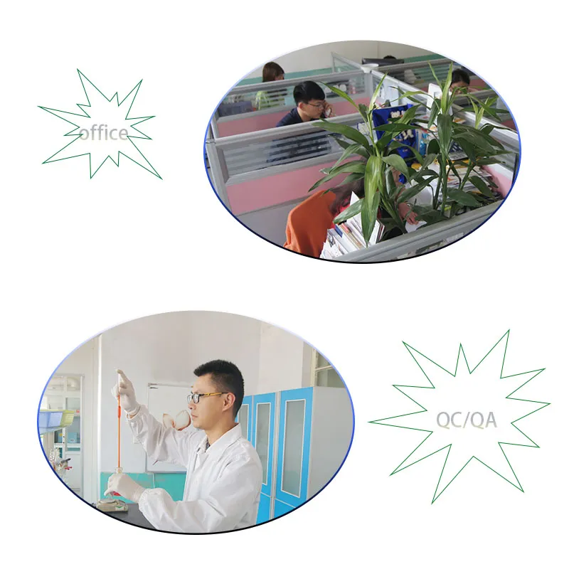 Production Facility 4