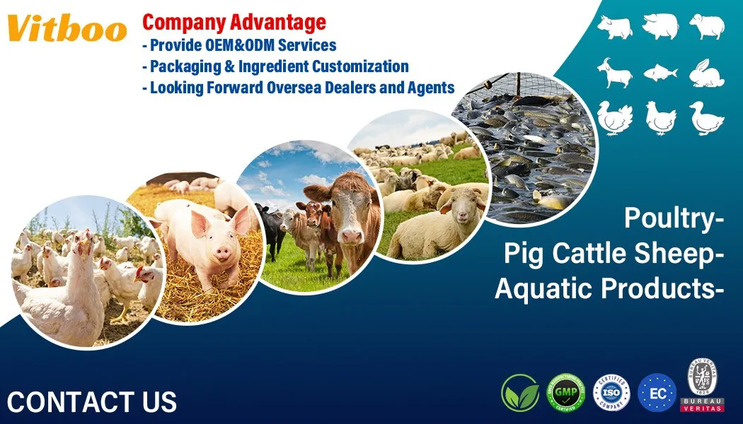 Antiviral Powder Feed Additives