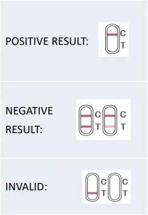 Results Interpretation