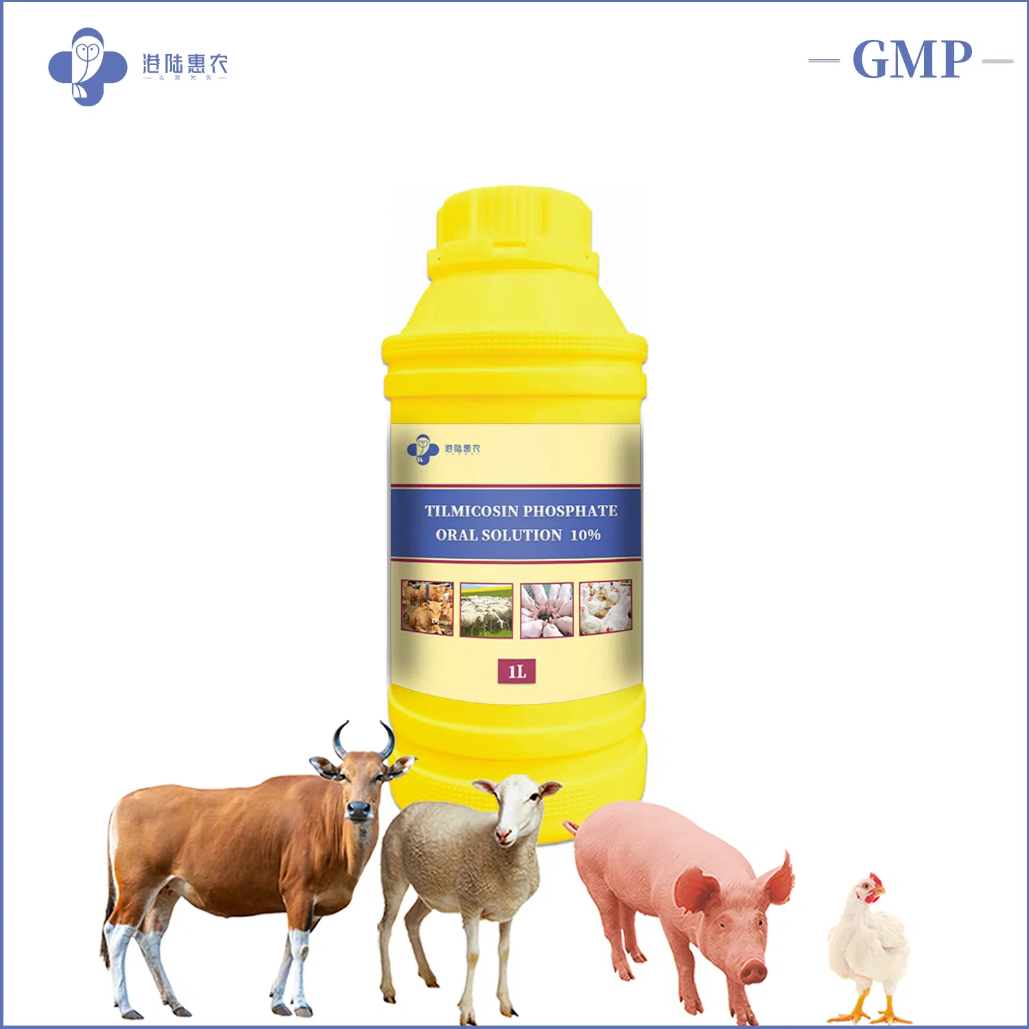 Hot Sale Antibiotic Medicine Tilmicosin Phosphate Oral Solution 10% 20% 25% Veterinary Medicine Drug for Cattle Sheep Chicken Poultry