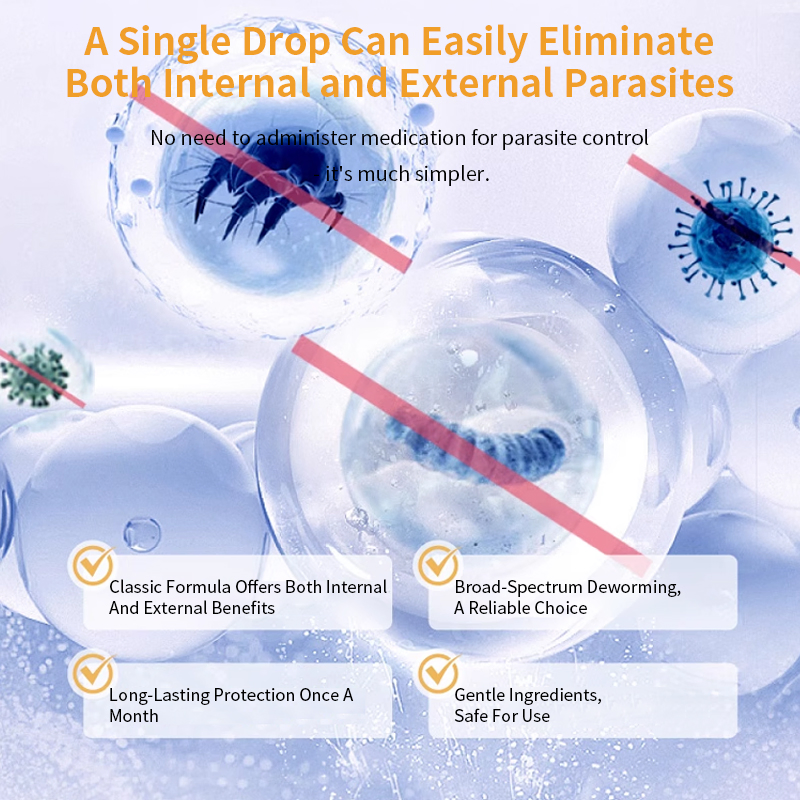 Best Dog Wormer Imidacloprid and Moxidectin Spot-on Solutions Worm Medicine for Dog Worming