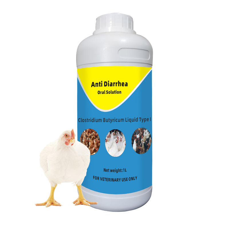 Vitboo Liver Tonic Oral Solution Protect Kidney Prevent Disease Poultry Drugs