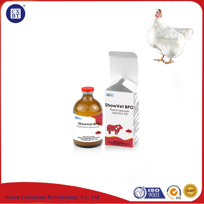 Buparvaquone Injection 5% Veterinary Injectable Drugs for Cattle Calves Sheep Goats Dogs Cats