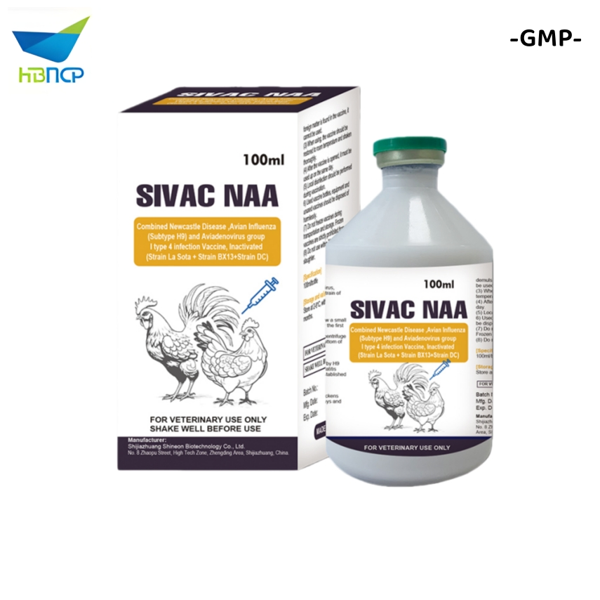High Quality GMP Factory OEM Newcastle Disease Infectious Bronchitis Avian Influenza H9 Subtype and Infectious Bursal Disease Vaccine Inactivated Chicken Vacci