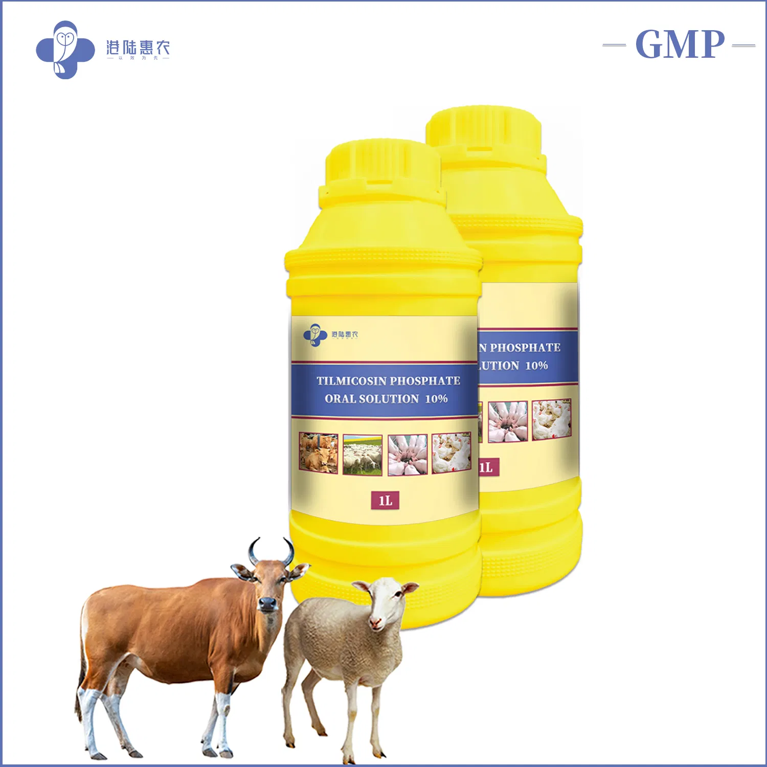 Shanghai Ganglu Huinong Biotechnology Tilmicosin Phosphate Oral Solution 10% 20% Veterinary Drug for Cattle Sheep Pig Poultry
