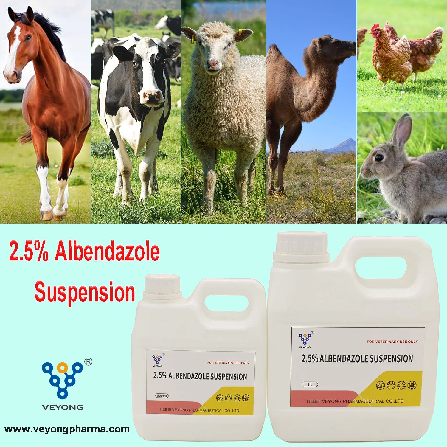 Veterinary Medicine 2.5% 10% Albendazole Oral Solution Animal Drug From GMP Manufacturer