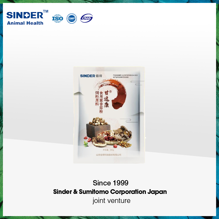 Veterinary Medicine Feed Additive Lentinan 2.5%-99% Mushroom Extract with GMP