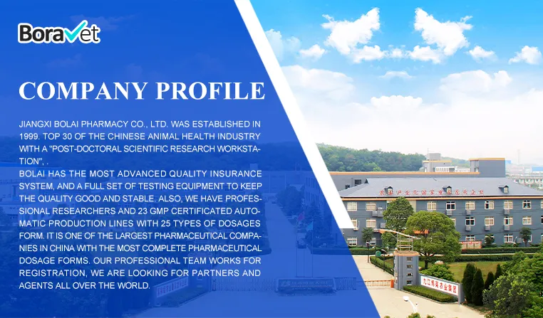 Iron Dextran Injection 1